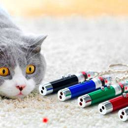 3 Fonksiyonlu Kırmızı Beyaz Işıklı Led Lazer Kedi Köpek Oyuncak Anahtarlık (4247)