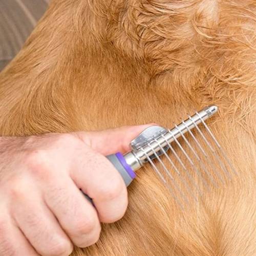 Düğüm Açıcı Pet Fırçası Emniyetli Uzun ve Çelik Dişli Kedi Köpek Tüy Kıtık Açma Tarağı (4247) - 2