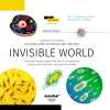 Invisible World (Görünmez Dünya). Bilgilendirici kitap (4247) - Thumbnail (1)