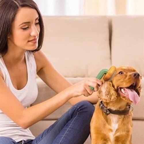Plastik Beyaz Evcil Hayvan Bakım Pet Fırçası Çok Amaçlı Pet Fırçası Beyaz (4247) - 1